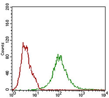 BACE1 Antibody