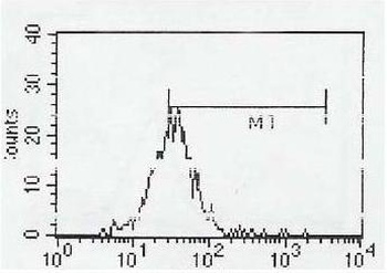 CD4 Antibody