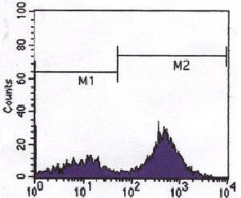 CD3 Antibody [4D10A6]