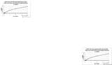 IFNGR2 Antibody