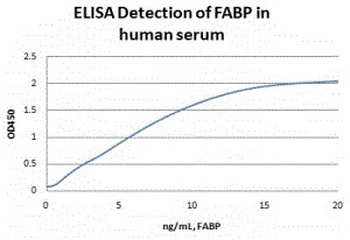 FABP3 Antibody