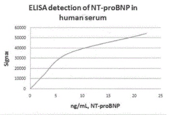 NPPB Antibody