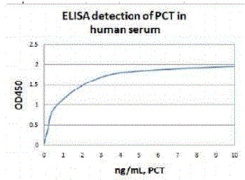 CALCA Antibody
