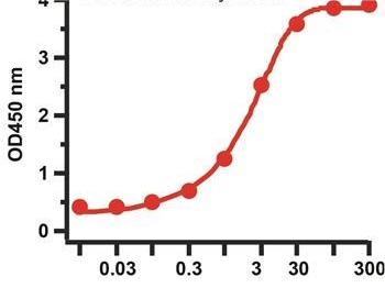 SARS-CoV-2 (COVID-19) Nucleocapsid Antibody [NP1189]