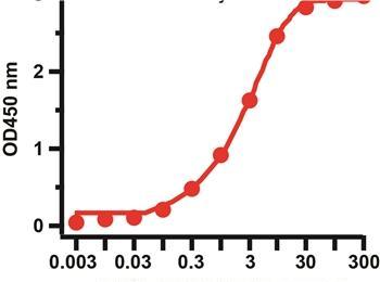 SARS-CoV-2 (COVID-19) Nucleocapsid Antibody [NP642]