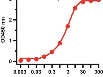 SARS-CoV-2 (COVID-19) Nucleocapsid Antibody [NP642]