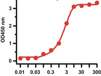 SARS-CoV-2 (COVID-19) Spike S1 Antibody [SP185]