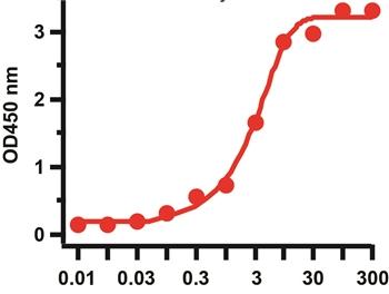 SARS-CoV-2 (COVID-19) Spike S1 Antibody [SP185]