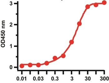 SARS-CoV-2 (COVID-19) Spike S1 Antibody [SP422]