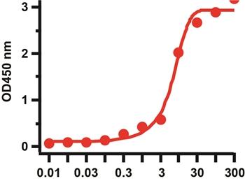 SARS-CoV-2 (COVID-19) Spike S1 Antibody [SP422]