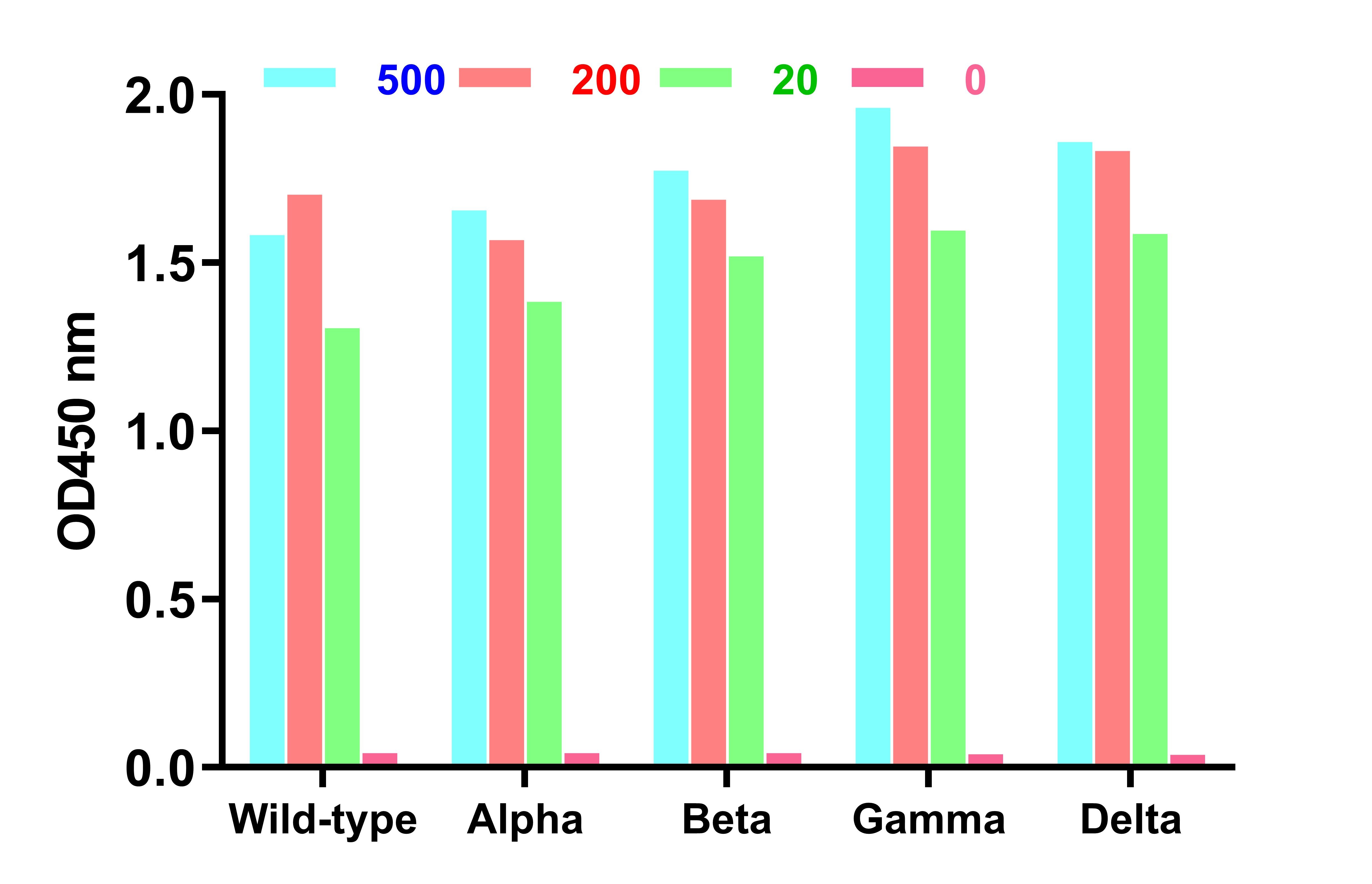 SARS-CoV-2 (COVID-19) Spike Neutralization Single Domain Antibody [E10]