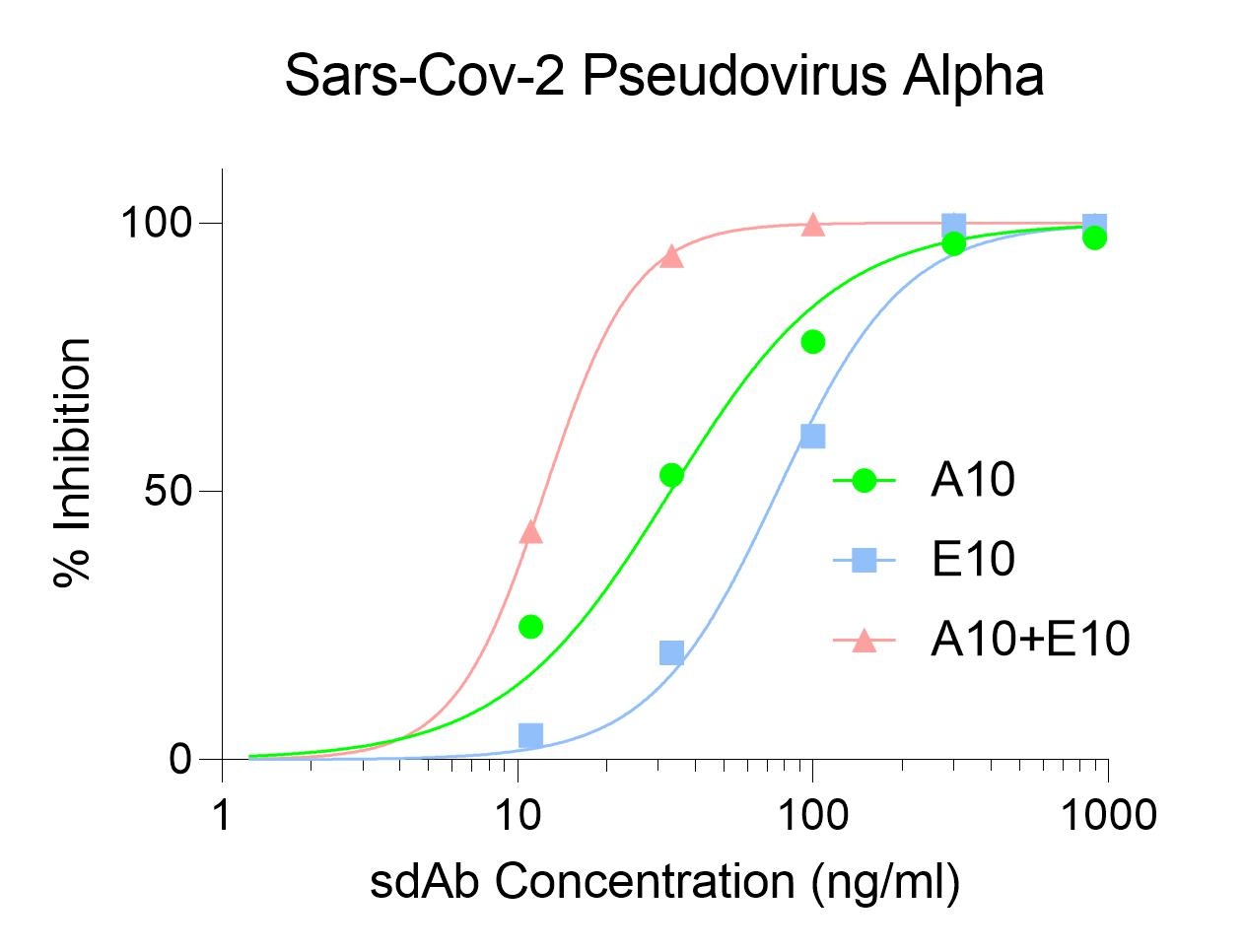 SARS-CoV-2 (COVID-19) Spike Neutralization Single Domain Antibody [A10]