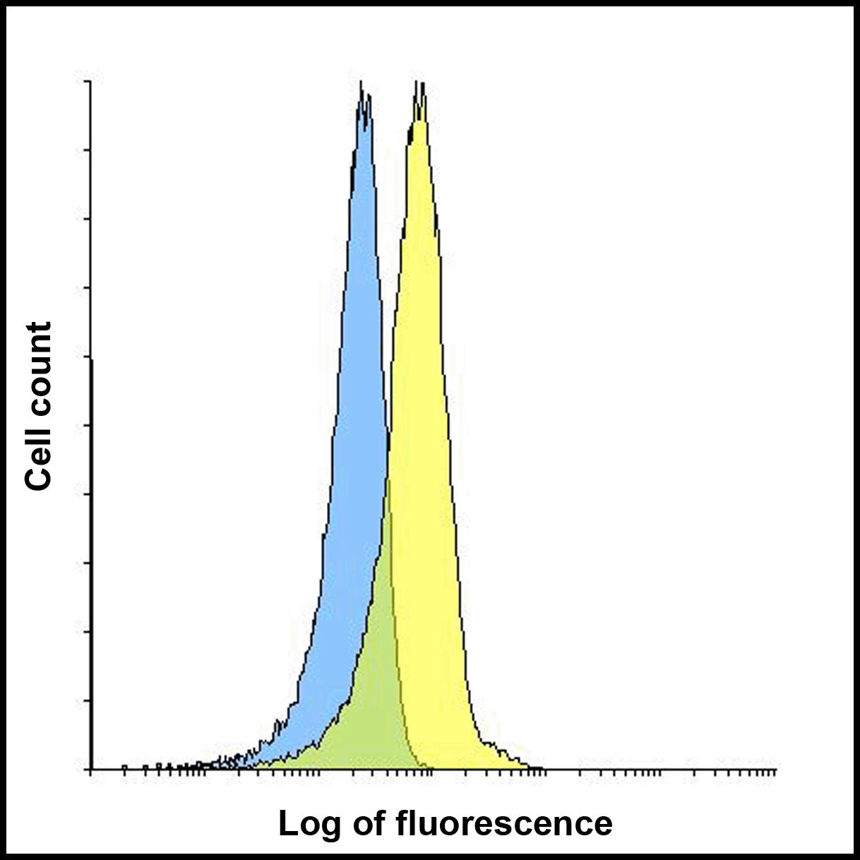 LAG-3 Single Domain Antibody [2A11]