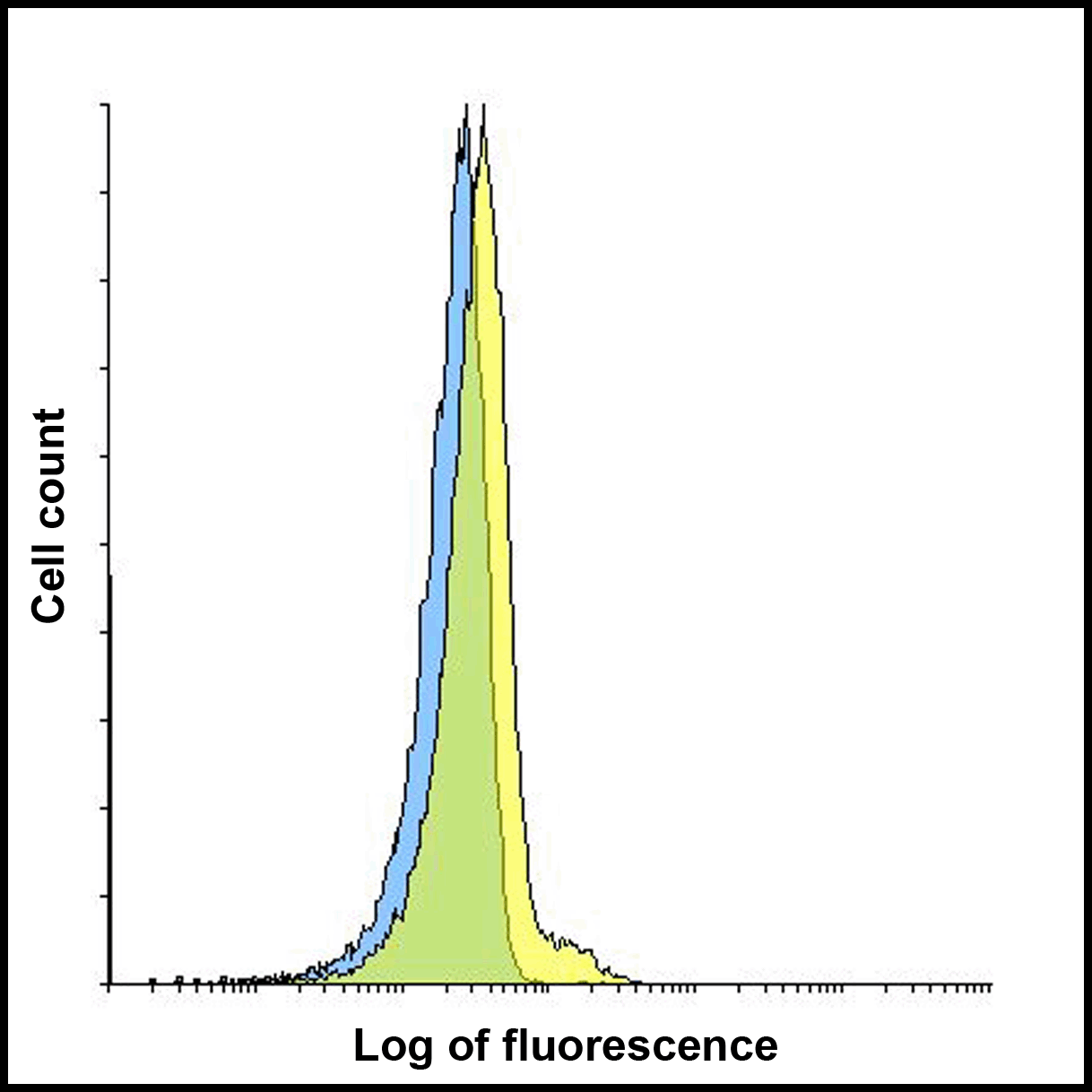 LAG-3 Single Domain Antibody [1C6]