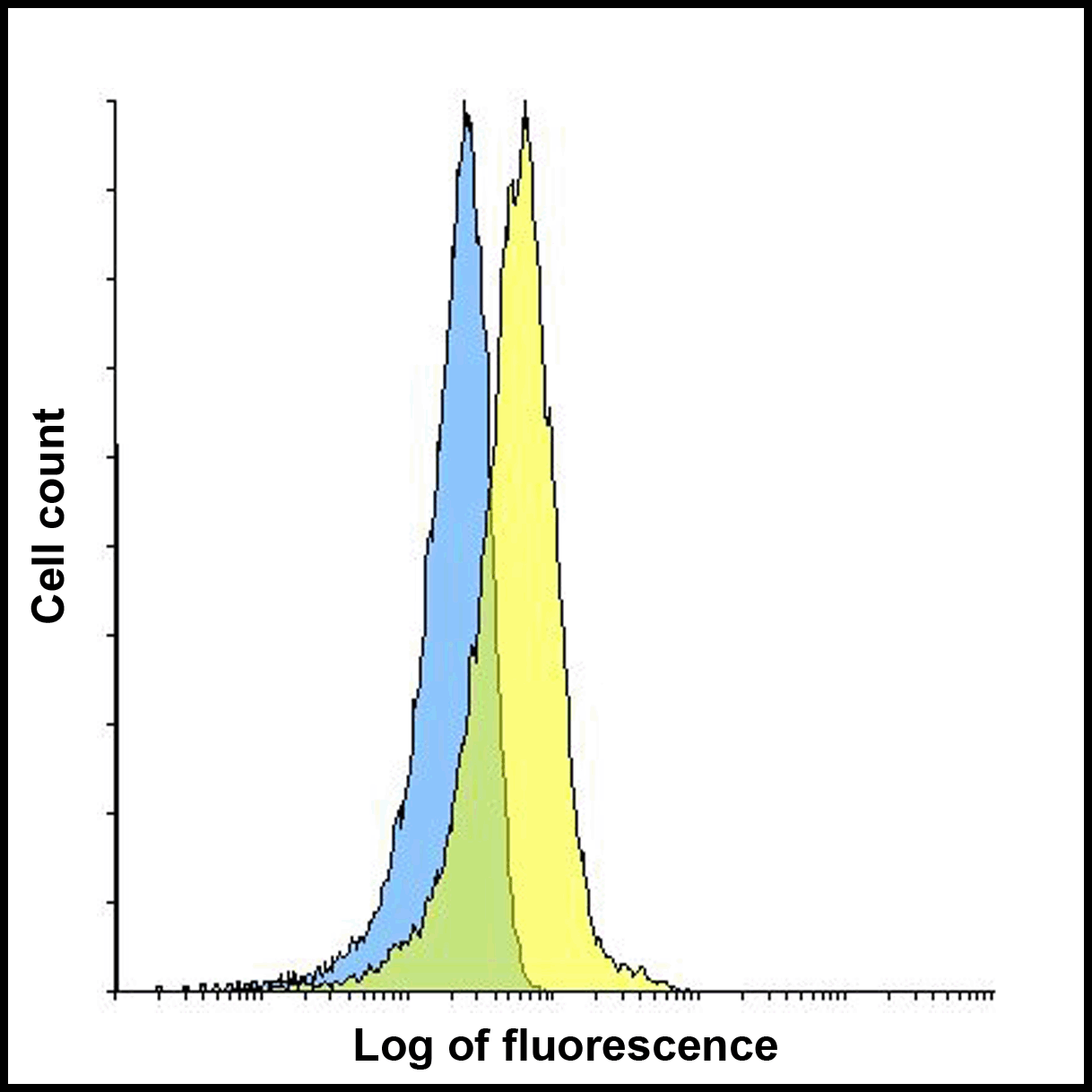 LAG-3 Single Domain Antibody [1A6]