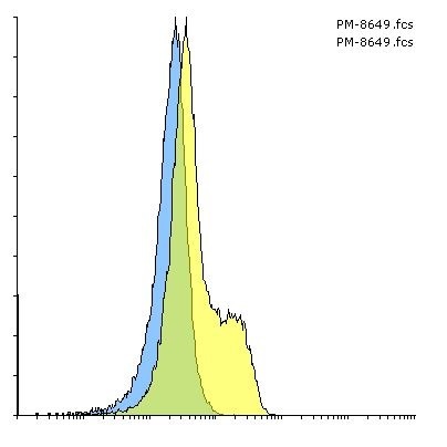PD-1 Single Domain Antibody [F25F4]