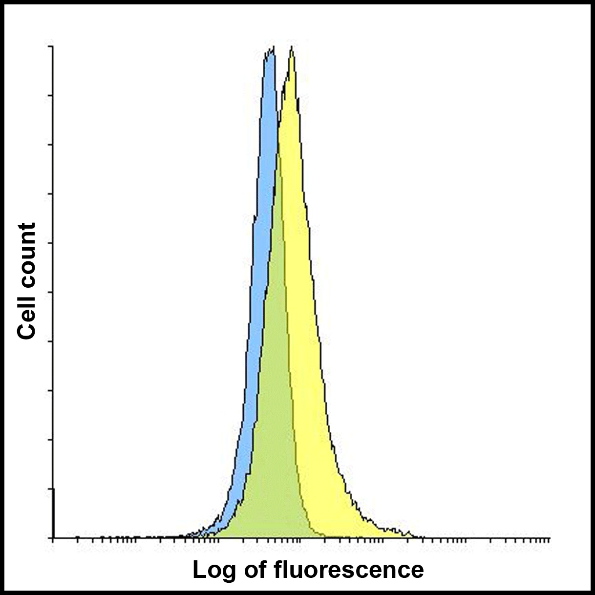 TIGIT Single Domain Antibody [2B5]