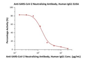 SARS-CoV-2 Spike RBD Neutralizing Antibody, monoclonal