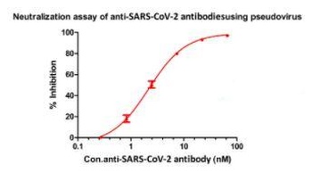 SARS-CoV-2 Spike RBD Neutralizing Antibody, monoclonal