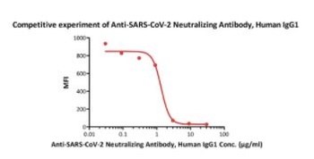 SARS-CoV-2 Spike RBD Neutralizing Antibody, monoclonal