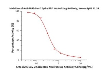 SARS-CoV-2 Spike RBD Neutralizing Antibody, monoclonal, Chimeric