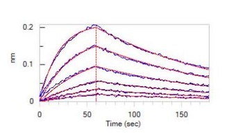 SARS-CoV-2 Spike NTD Neutralizing Antibody, monoclonal, Chimeric