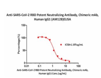 SARS-CoV-2 RBD Potent Neutralizing Antibody, monoclonal, Chimeric