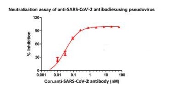 SARS-CoV-2 RBD Potent Neutralizing Antibody, monoclonal, Chimeric