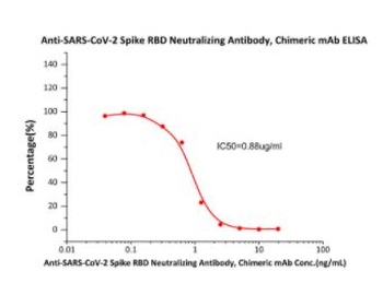 SARS-CoV-2 Spike RBD Neutralizing Antibody, monoclonal, Chimeric