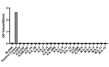 IL-6 Antibody [8L8T2]