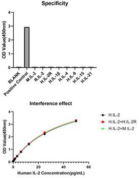 IL-2 Antibody [1Q8G7]