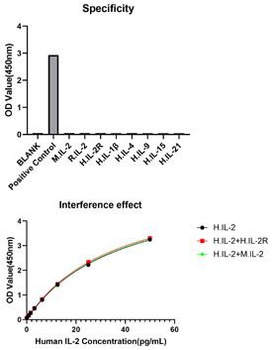 IL-2 Antibody [4N2Q9]