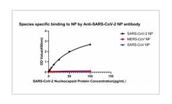 SARS-COV-2 Nucleocapsid Protein Antibody [9A4B3] [Out of stock]
