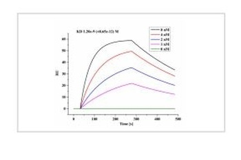 SARS-COV-2 Nucleocapsid Protein Antibody [9A4B3] [Out of stock]