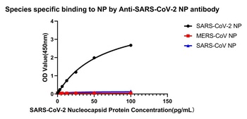 SARS-COV-2 Nucleocapsid Protein Antibody [3E8A5] [Out of stock]