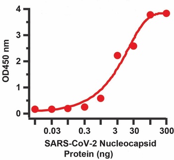 Recombinant SARS-CoV-2 (COVID-19) Nucleocapsid antibody [AbG733]