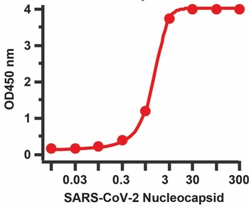 Recombinant SARS-CoV-2 (COVID-19) Nucleocapsid antibody [AbD207]