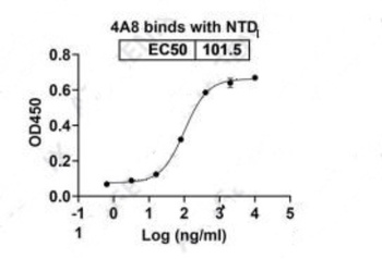 Recombinant SARS-CoV-2 S-NTD antibody