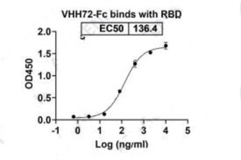 Recombinant SARS-CoV-2 RBD antibody