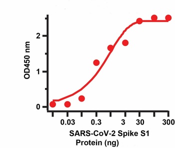 Recombinant SARS-CoV-2 (COVID-19) (S1) -1 Antibody [CR3022]