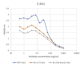 SARS-CoV-2 (COVID-19) Spike RBD Neutralizing Antibody [C-A11]