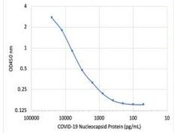 SARS-CoV-2 (COVID-19) Nucleocapsid Antibody [84C4a]