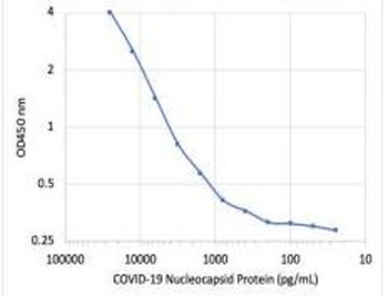 SARS-CoV-2 (COVID-19) Nucleocapsid Antibody [75G5a]