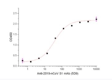 Recombinant SARS-CoV-2 (COVID-19) S1 Antibody [5D9]