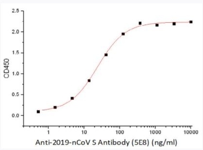 Recombinant SARS-CoV-2 (COVID-19) S Antibody [5E8]