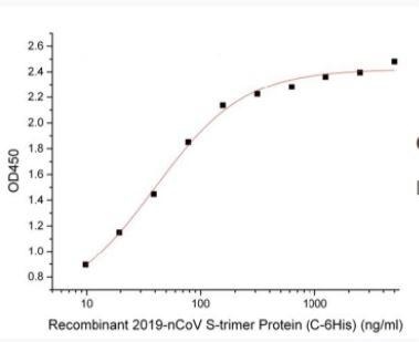 Recombinant SARS-CoV-2 (COVID-19) S Antibody [5E8]