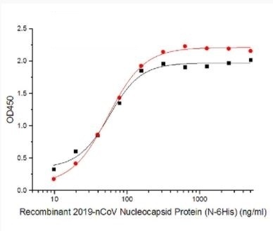 Recombinant SARS-CoV-2 (COVID-19) Nucleocapsid Antibody [4A6]