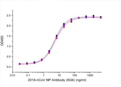 Recombinant SARS-CoV-2 (COVID-19) Nucleocapsid Antibody [6G9]