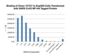 SARS-CoV-2 Nucleocapsid Antibody