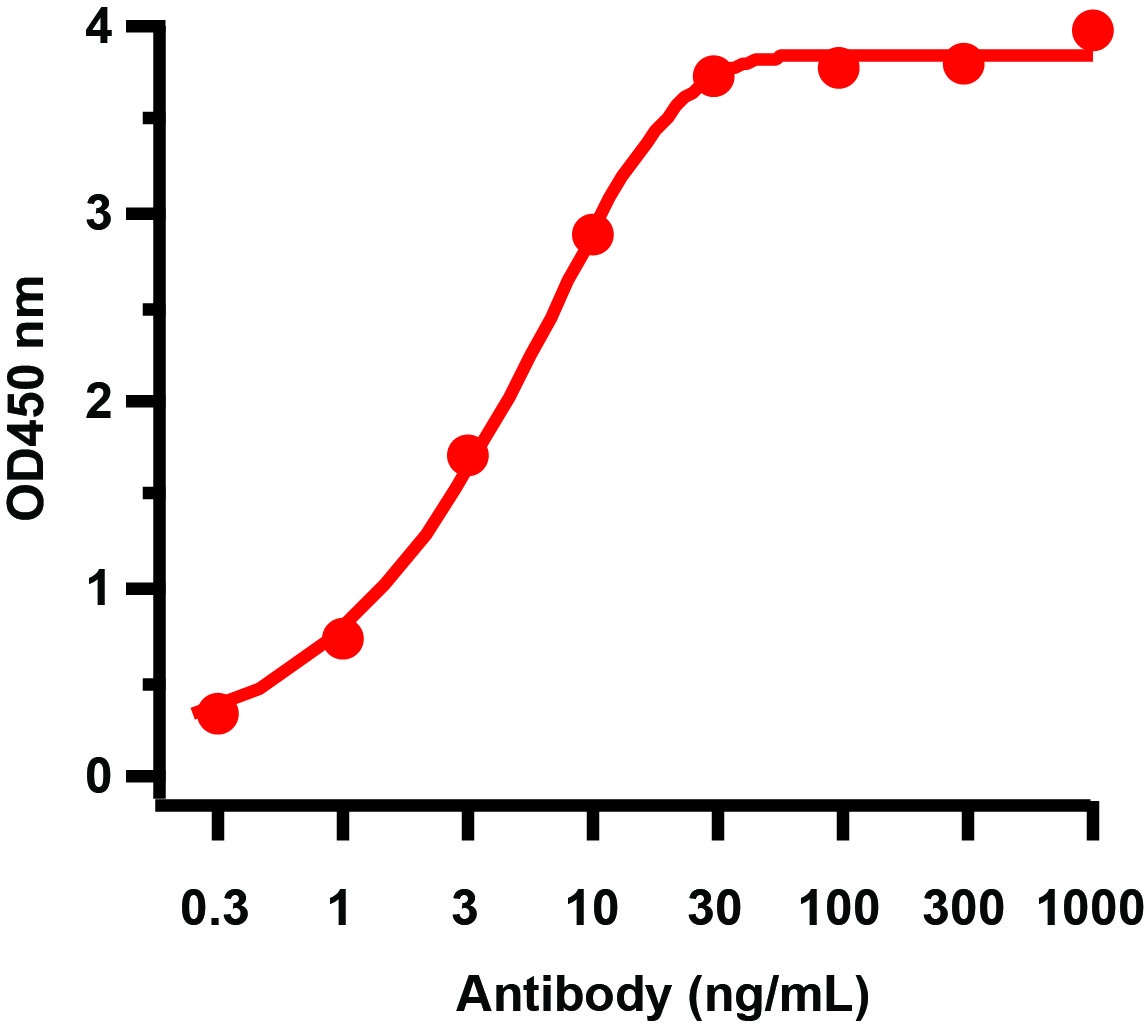 HIV-1 p24 Antibody [10A2] (HRP)